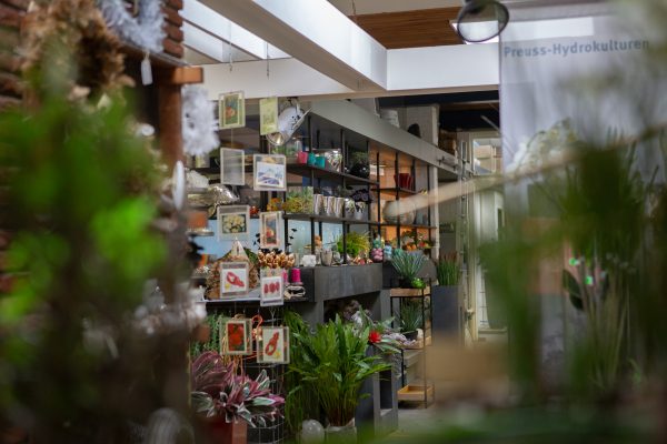 IMG_4565 Trendige Wohnaccessoires